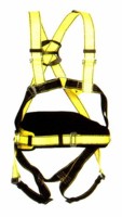 Four Point Harness - Quick Connect