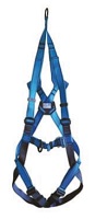 Two Point Rescue Harness HT22R