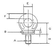M6 Collared Eyebolt