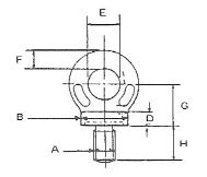 M6 Collared Eyebolt