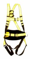 Three Point Harness