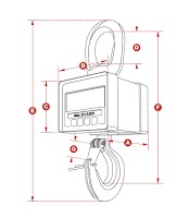 100 kg Mini Weigher type MWP/100