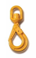 Swivel Hooks