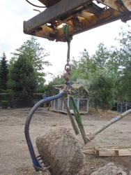 Root Ball Lifter